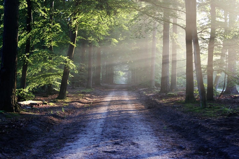 Off-the-Grid Trails