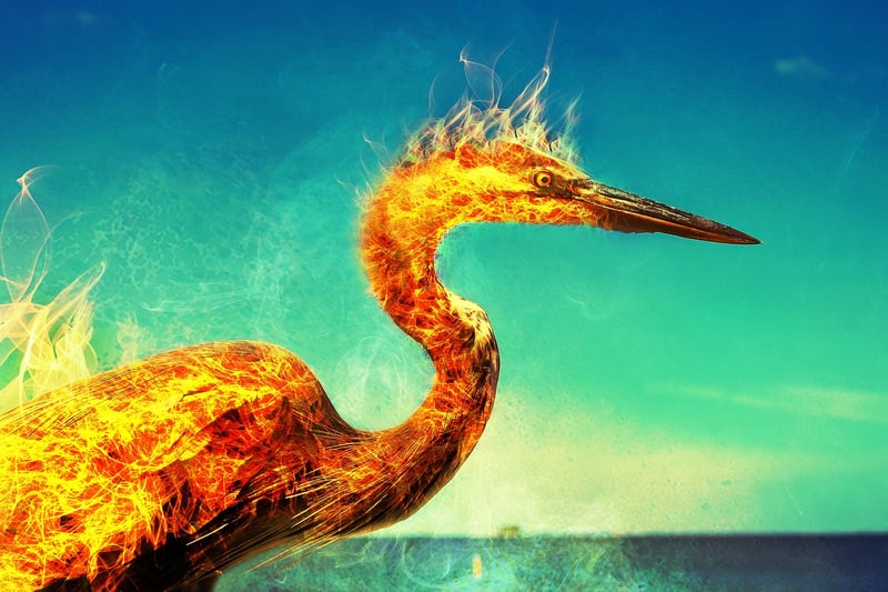 Phoenix Feather